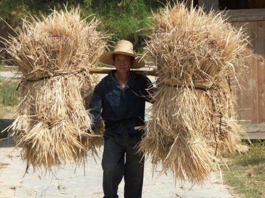 Routine local village life
